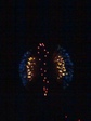 20100731195747.jpg